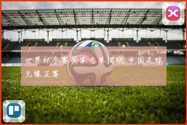 世界杯参赛国家名单揭晓 中国足球无缘正赛