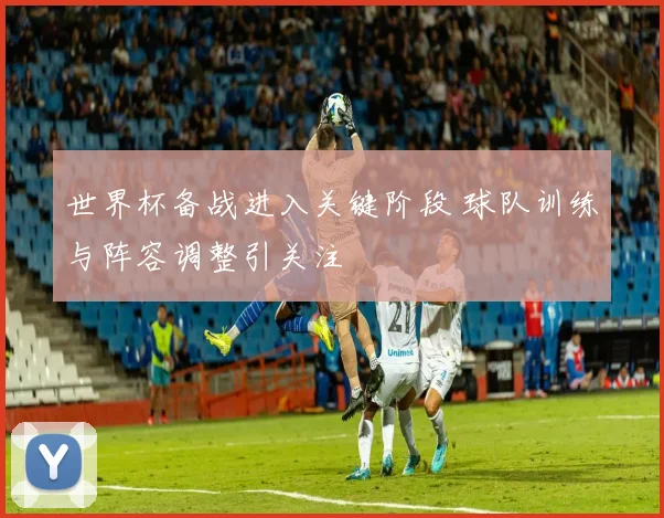 世界杯备战进入关键阶段 球队训练与阵容调整引关注