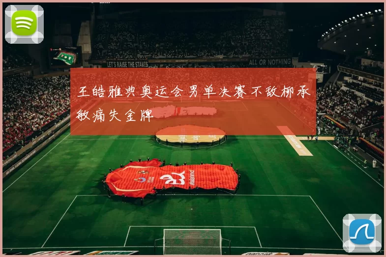 王皓雅典奥运会男单决赛不敌柳承敏痛失金牌