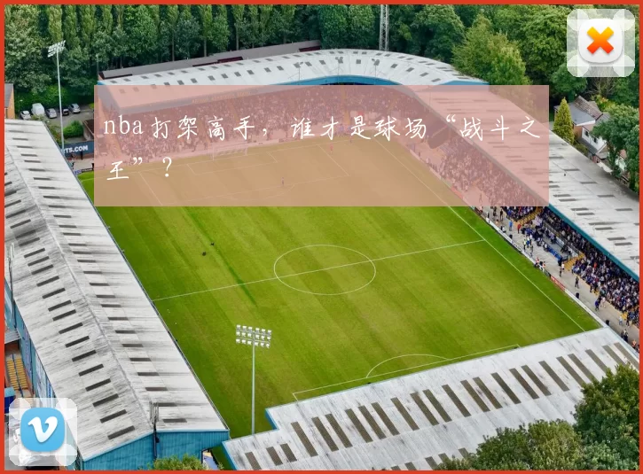 nba打架高手，谁才是球场“战斗之王”？