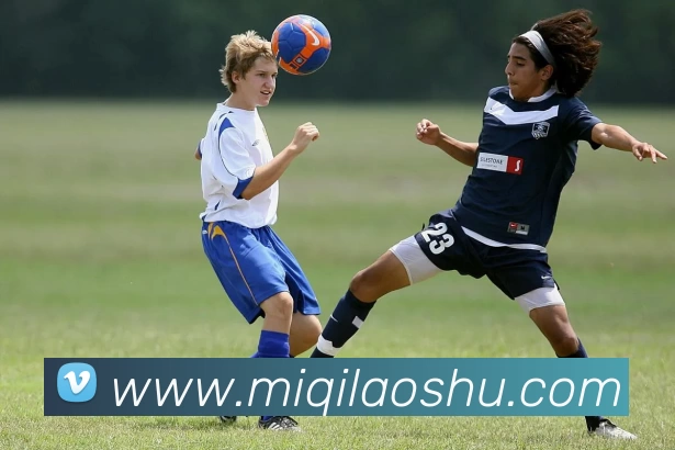 多媒体互动体验